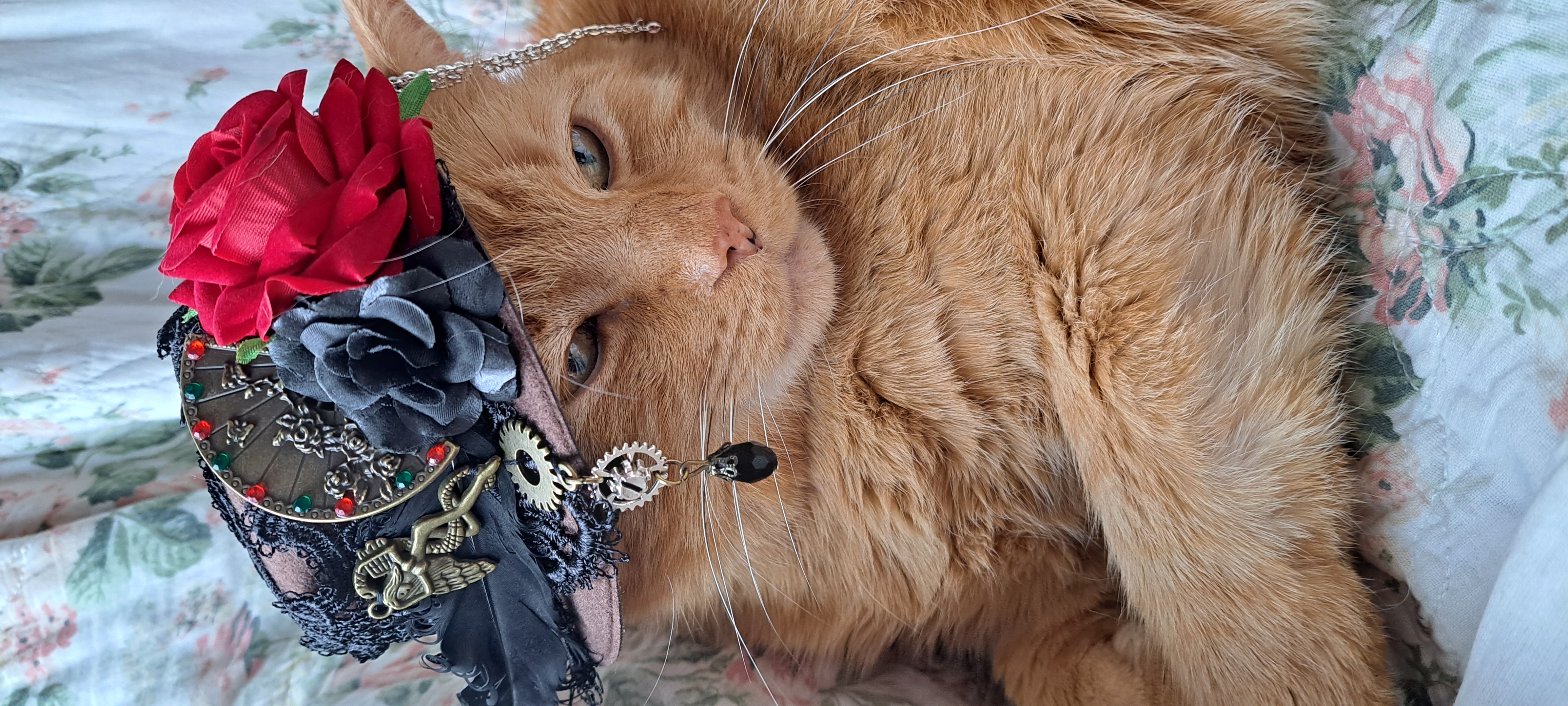 Tiberius Jocundus, Grand Vizier of Chaos, wearing his ceremonial steampunk top hat