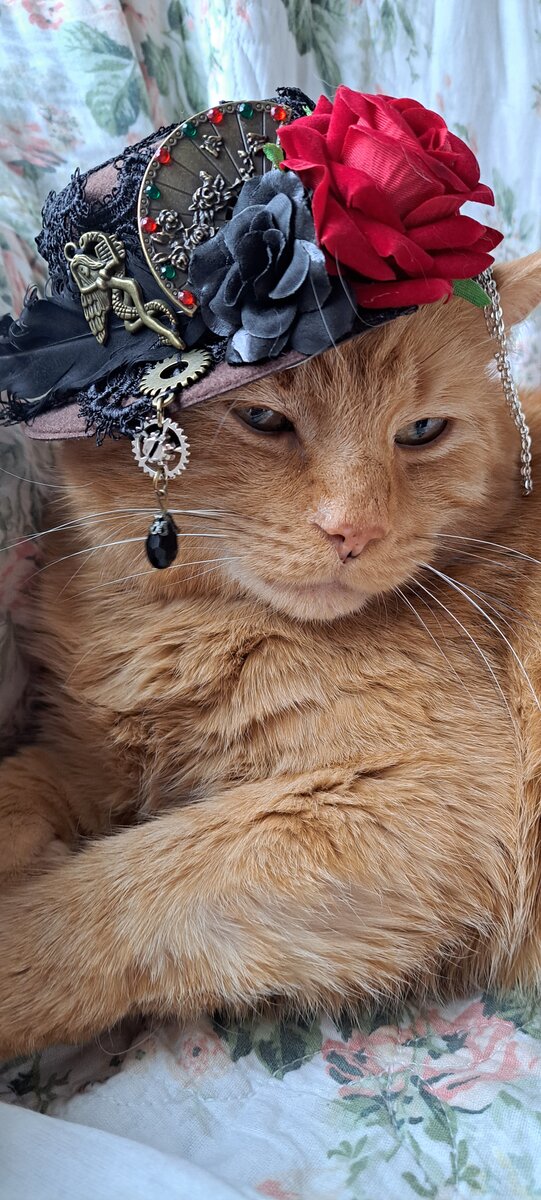 Tiberius Jocundus, Grand Vizier of Chaos, wearing his ceremonial steampunk top hat